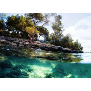 Ravensburger 16198 puzzle... 2