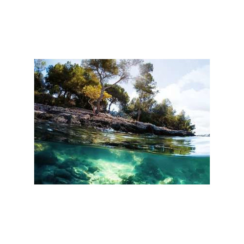 Ravensburger 16198 puzzle 1000 pezzo(i)