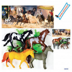 BUSTA CAVALLI I PUROSANGUE ASS