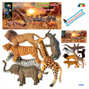 BUSTA ZOO VIAGGIO NELLA...