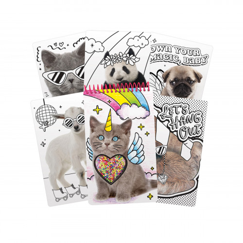 Crayola F12541 libro con adesivi