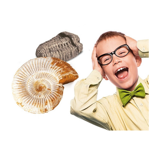 Clementoni Mini Set - Fossili