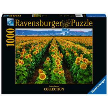 Ravensburger Fields of Gold...