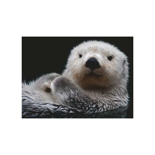 Ravensburger 16980 puzzle 500 pz