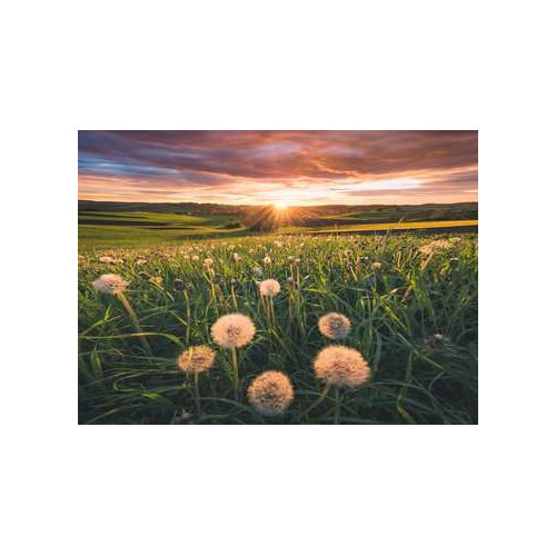 Ravensburger 16990 puzzle 500 pz