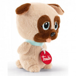 Trudi Friend Carlino