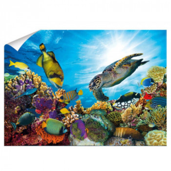 DIAMANTINY ARTIST 50X70 ASS. 2