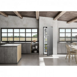 Liebherr RBsdd 5250 - Frigorifero Monoporta da Libera Installazione, BioFresh, 387 Litri, Classe D, 1855x597x675 