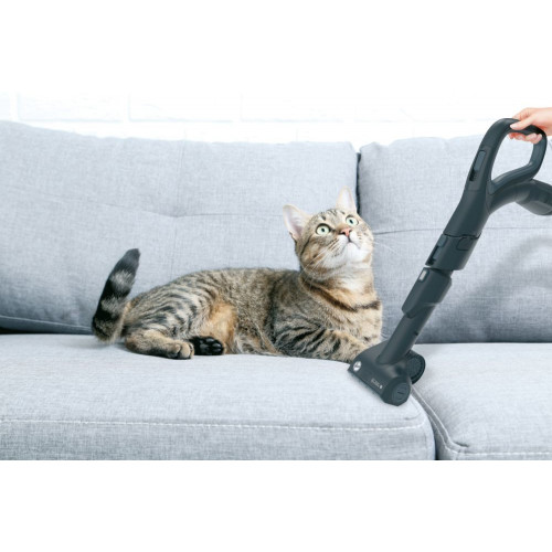 Hoover H-POWER 700 HP720PET 011 2 L A cilindro...