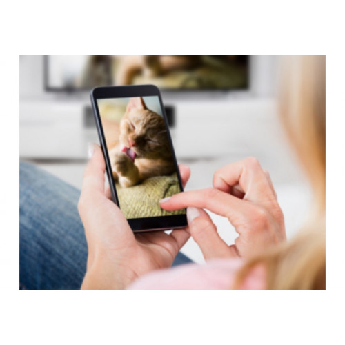 Panasonic TX-24LS480E TV 61 cm (24") HD Smart...