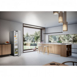 Liebherr RDsfe 5220 - Frigorifero Monoporta da Libera Installazione, EasyFresh, 399 Litri, Classe E, 1855x597x675