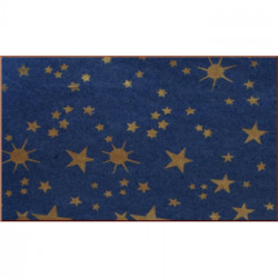 Rotolo carta cielo stampato cm.100x5 mt.