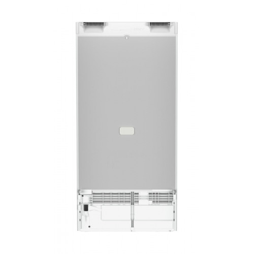 Liebherr Rf 4200 - Frigorifero Monoporta da...