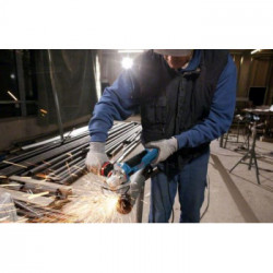 Bosch Professional GWS 17-125 CIEX + SDS Clic - Smerigliatrice angolare, 1700 W