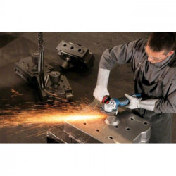 Bosch Professional GWS 17-125 CIEX + SDS Clic - Smerigliatrice angolare, 1700 W