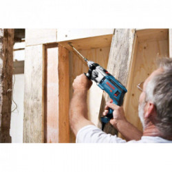 Bosch GSB 20-2 RE - Trapano Battente, 850W, 2 velocità Mandrino autoserrante 13 mm, Impugnatura supplementare, KickBack Control