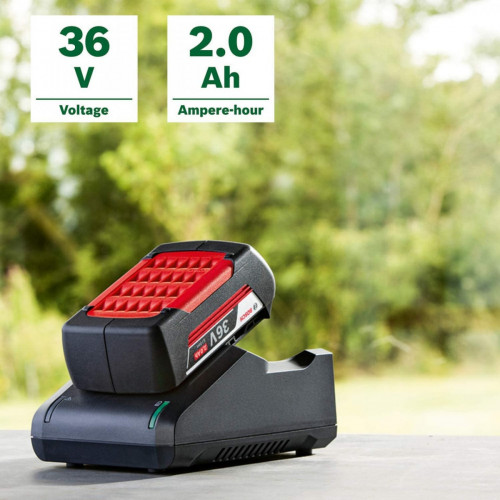 Bosch Starter Set 36 V - Batteria Litio 36V,...