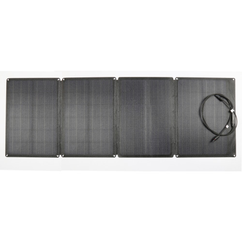 EcoFlow ECO66102 - Pannello solare 110 W...