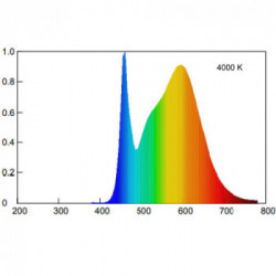 Beghelli Tuttovetro Lampadina a risparmio energetico 8 W E27 E