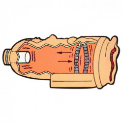 You2Toys Venus - Masturbatore a Forma di Vagina, Vibrazione, Funzione Shock, Richiede Batterie