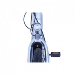 Lexgo C26 City E-Bike Samsung 36V, 7Ah, 250W, 26", Doppio Freno a Disco, Raggi in Lega, Sella in Pelle, Luce Frontale	