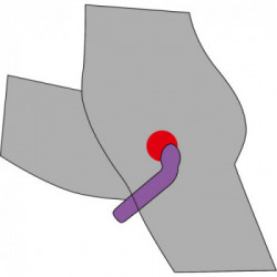 You2Toys G+P-Spot Lover Silicone - Vibratore Punto G, Richiede Batterie