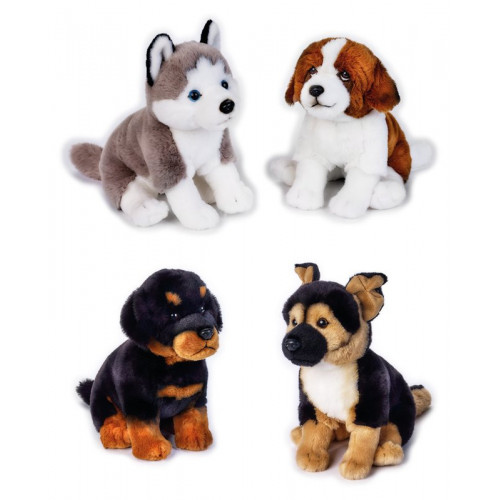 PETS DOGS SEDUTI ASS. MY PUPPY