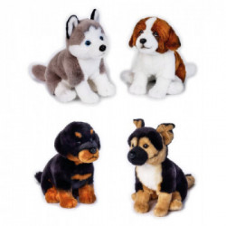 PETS DOGS SEDUTI ASS. MY PUPPY