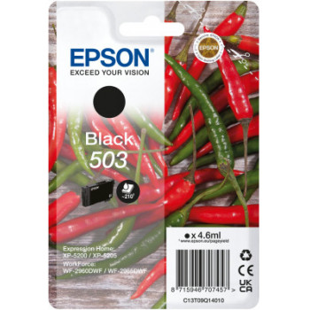 Epson 503 cartuccia...