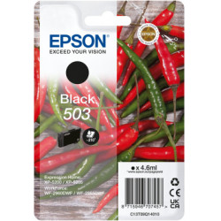 Epson 503 cartuccia d'inchiostro 1 pz Originale Resa standard Nero