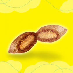 Catisfactions Snack Biscotti 60 Gr. Pollo