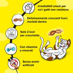 Catisfactions Snack Biscotti 60 Gr. Pollo