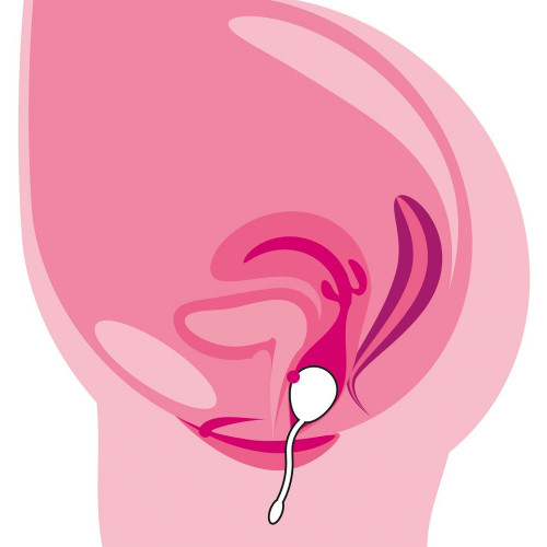 Training Pleasure Balls RC Love Ball - Sfera...