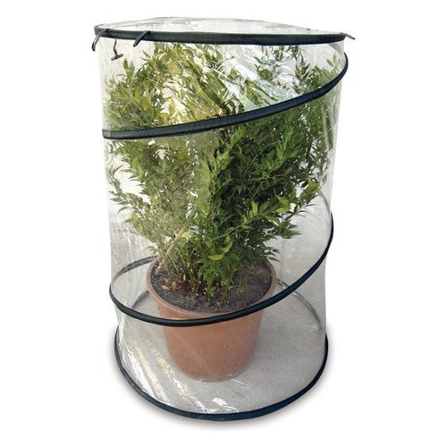 Serra Verdelook 647/15 Pop-Up