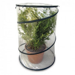 Serra Verdelook 647/15 Pop-Up