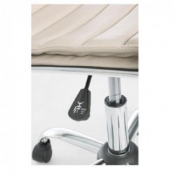 Bizzotto Yes Everyday Perth, Sedia da Ufficio, Similpelle, Girevole, 46x54x90/100 cm, Tortora