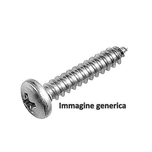 Viti metallo Oreca 11462