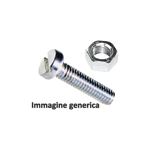 Viti metallo Oreca 11180