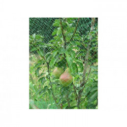 RETE PLASTICA ORTOFLEX    MT.2,00X 5