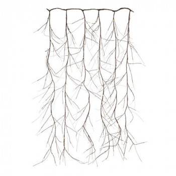 Decoro natalizio Bizzotto...