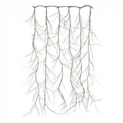 Decoro natalizio Bizzotto Christmas decor 0934582 TENDA LUMINOSA REVOL