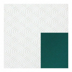 Mollettone in rotolo per il taglio a metro PVC double face h. 1,4 x L. 20 metri Bianco/verde Collezione tavola