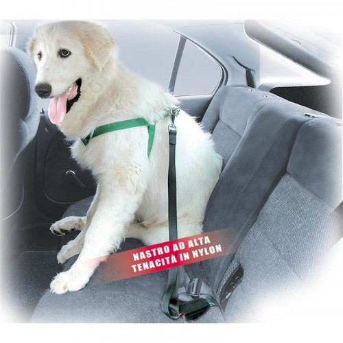STOPDOG MAXI -F206-