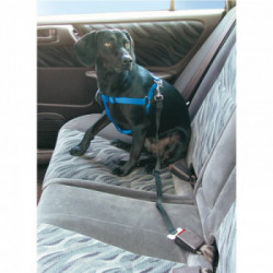 STOPDOG SINGOLO NERO - F205-