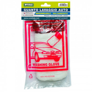 GUANTO LAVAGGIO AUTO 2