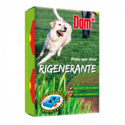 Dom Sementi Rigenerante 1 kg