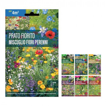 Sementi Dom Sementi...