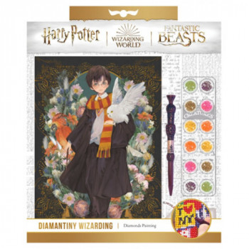 HP DIAMANTINY WIZARDING... 2