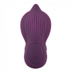 Javida RC Shaking Panty Vibe - Vibratore con Telecomando, 10 MOD, Impermeabile, Ricaricabile