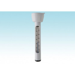 Intex 29039 accessorio per piscina Termometro